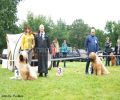 nbnbDSC_0552
