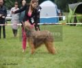 nbnbDSC_0556