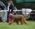 nbnbDSC_0568