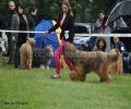 nbnbDSC_0570