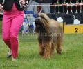 nbnbDSC_0575