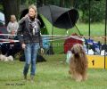 nbnbDSC_0599