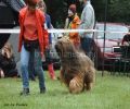 nbnbDSC_0601