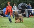 nbnbDSC_0605