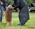 nbnbDSC_0627