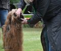 nbnbDSC_0628