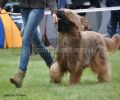 nbnbDSC_0636