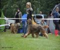 nbnbDSC_0641