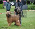 nbnbDSC_0691