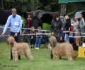 nbnbDSC_0746