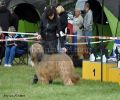 nbnbDSC_0747