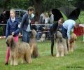 nbnbDSC_0756