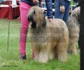 nbnbDSC_0763
