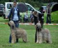 nbnbDSC_0770