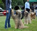 nbnbDSC_0779