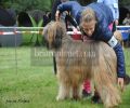 nbnbDSC_0788