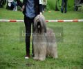 nbnbDSC_0795
