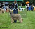 nbnbDSC_0801
