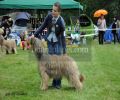 nbnbDSC_0802