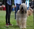 nbnbDSC_0806
