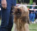 nbnbDSC_0810