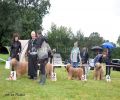 nbnbDSC_0860