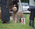 nbnbDSC_0863