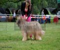 nbnbDSC_0869