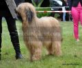 nbnbDSC_0909