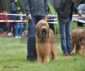 nbnbDSC_0939