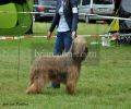 nbnbDSC_0962