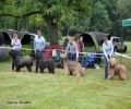 nbnbDSC_1039