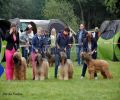 nbnbDSC_1042