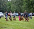 nbnbDSC_1043