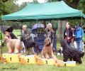nbnbDSC_1051