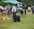 nbnbDSC_1054