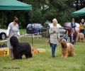 nbnbDSC_1057