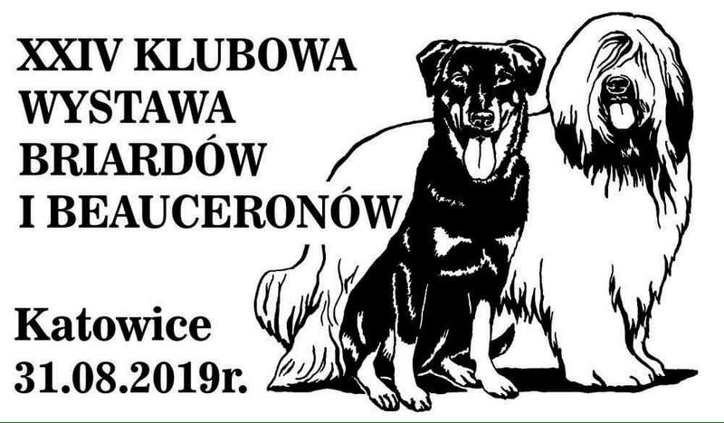klubowa2019