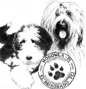 logoelbridorado