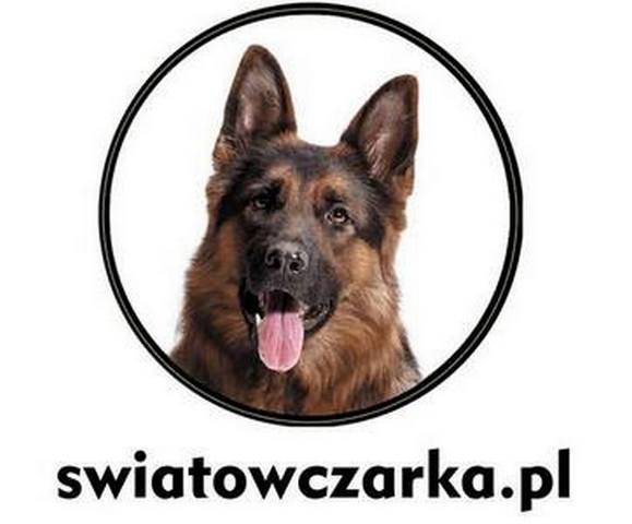 swiatowczarkacc