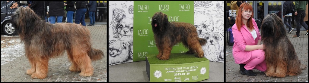 torokovno