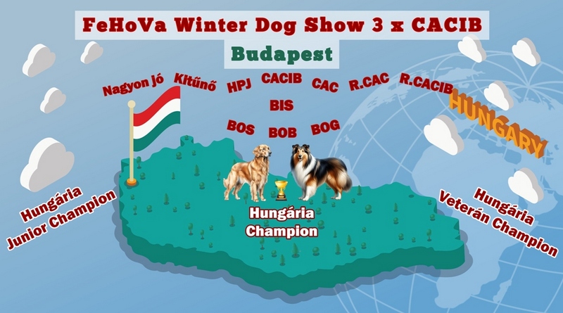 winter kiemelt magyar