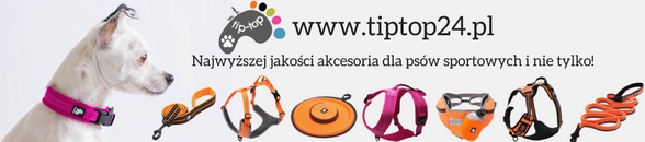 www.tiptop24.pl stopka