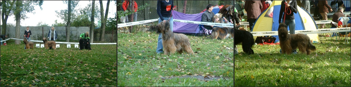 zabrze2007