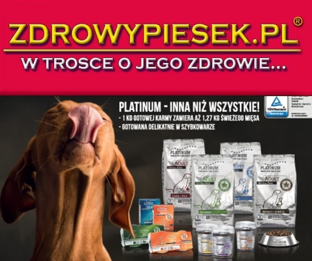 zdrowypiesek