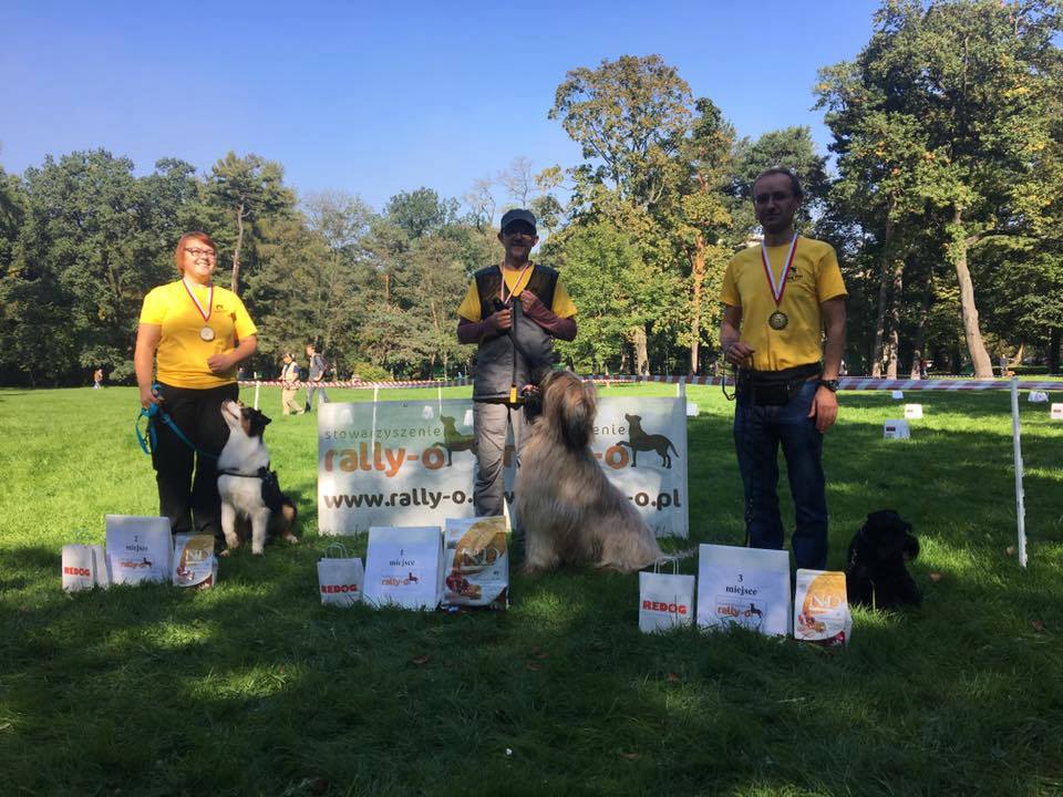 zorro moravia campanella